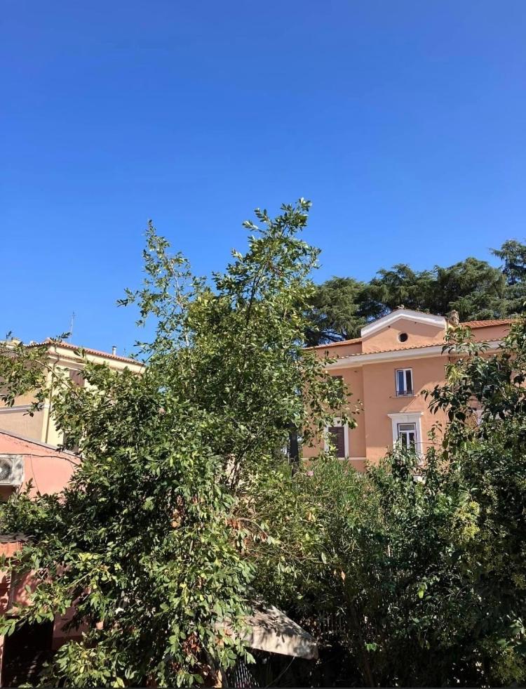 Casa Di Vivi, Comoda Per Il Centro, Il Vaticano Ed Il Gemelli Рим Екстер'єр фото